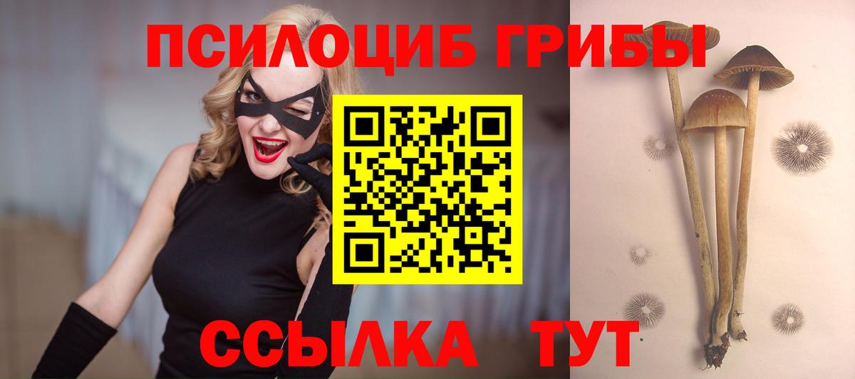 продажа наркотиков  Псилоцибиновые грибы Psilocybine cubensis  Вход с VPN  Кузнецк  Галлюциногенные грибы Psilocybine cubensis 